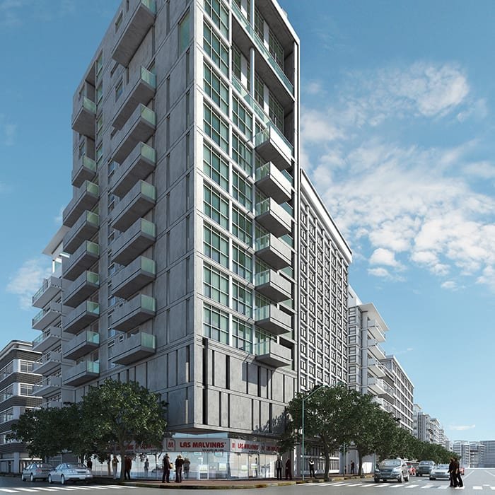 Proyecto Ave de Libertador